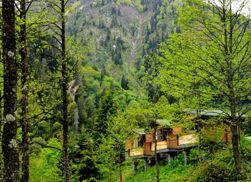 ayder kardelen bungalov