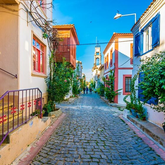 bozcaada bağ bozumu festivali