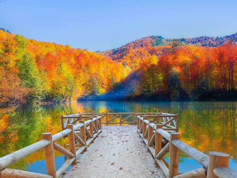 milli parklarımız