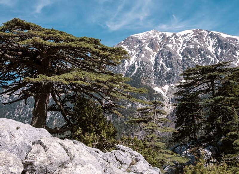 antalya olimpos otelleri