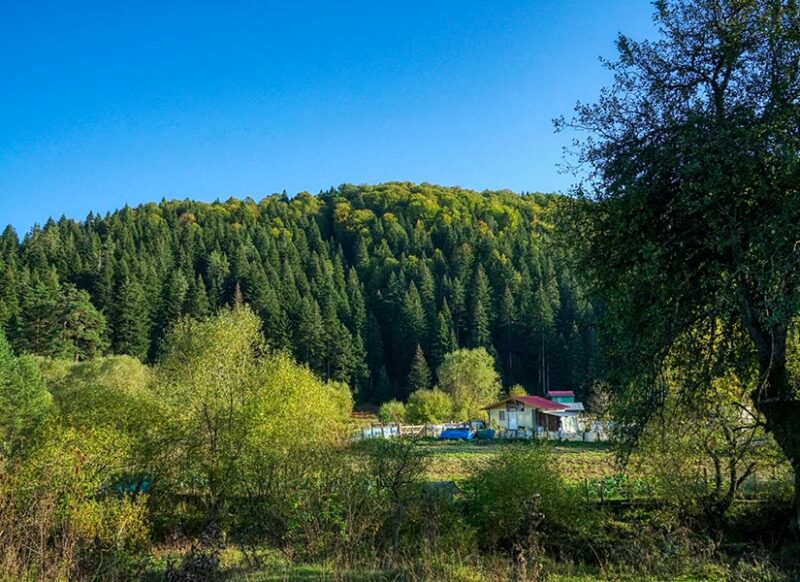 burası türkiye' de mi