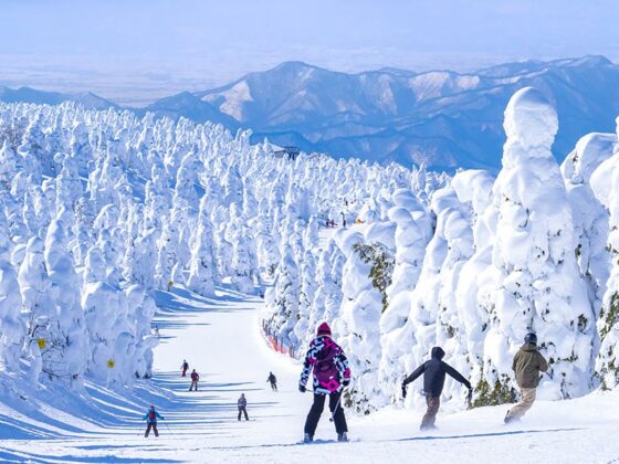 kayak tatili önerileri