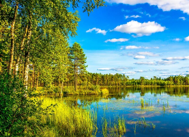 burası türkiye' de mi