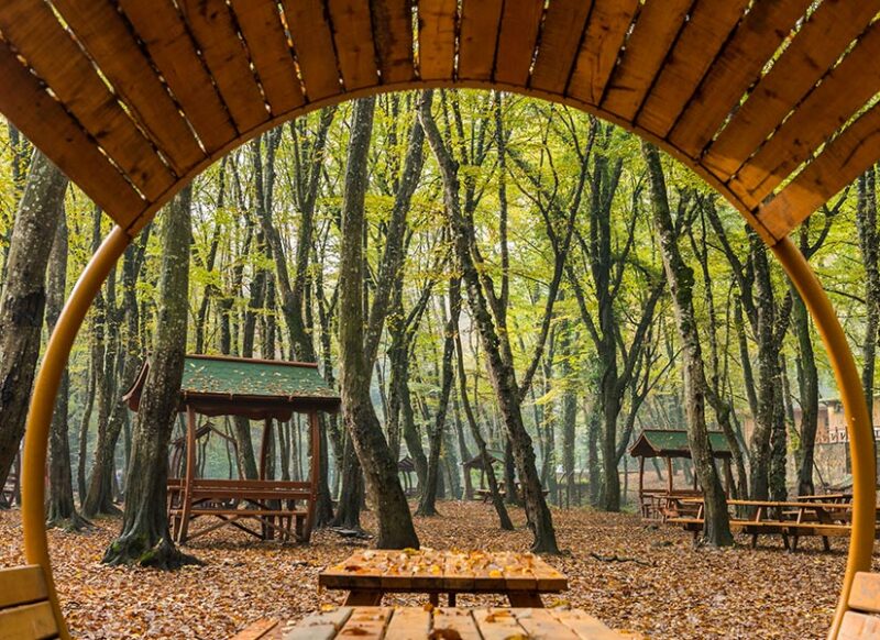 istanbul belgrad ormanı nerede