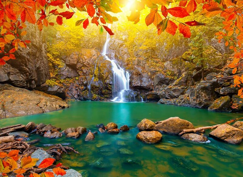 yalova erikli şelalesi nerede