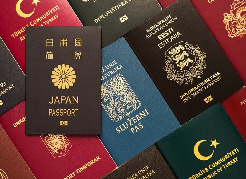 pasaport renkleri nelerdir