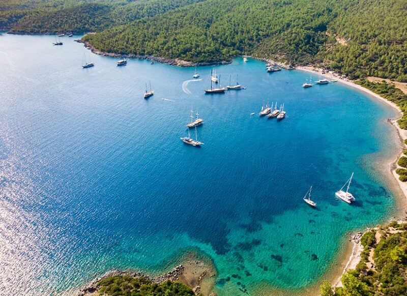 inceyalı koyu muğla