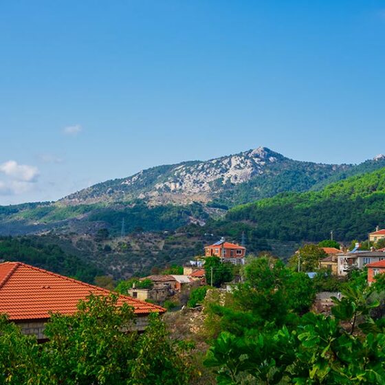 kaz dağları nerede