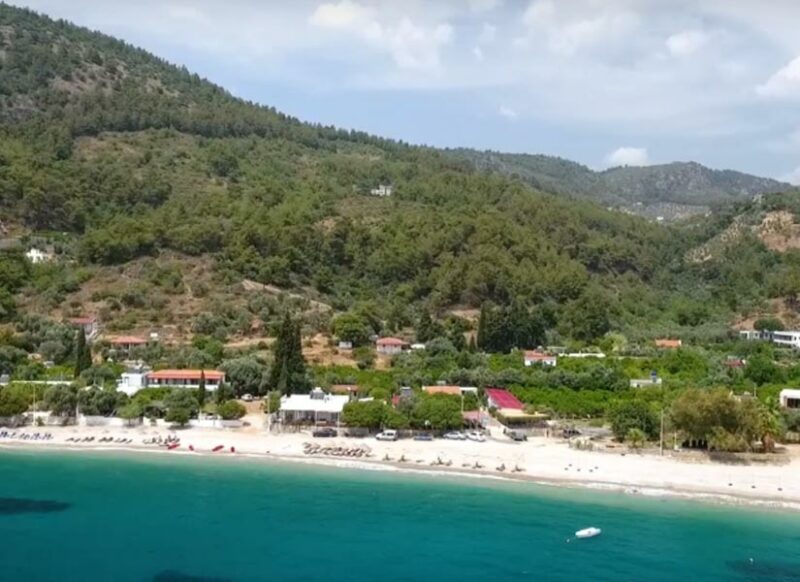 mazı neşe pansiyon